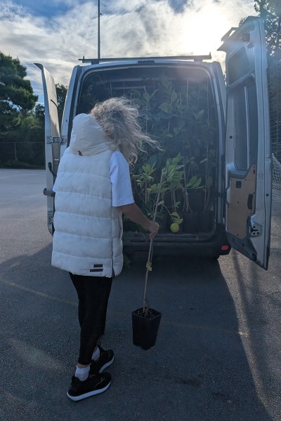 Akcije dijeljenja agruma_BudikaoCvijeto (17).jpg